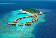 Lily Beach Resort & Spa, Maldivlert